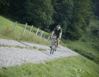 Mountainbiken im Bregenzerwald