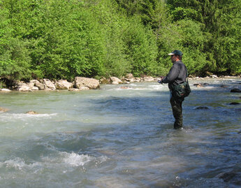 Fischen an der Bolgenach