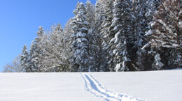 winterwandern2_bg.jpg