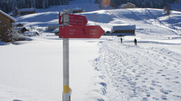 winterwandern4-bg.jpg