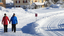 winterwandern5-bg.jpg