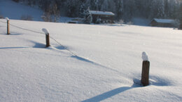 winterwandern6-bg.jpg